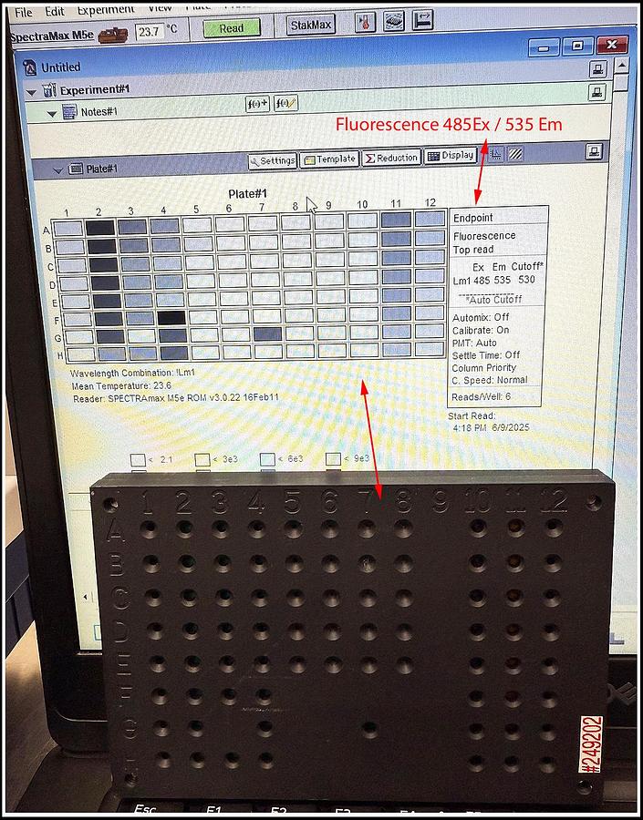 Used Molecular Devices SpectraMax M5 M5e Multimode Microplate Reader w WARRANTY