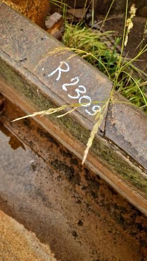 D'occasion Godet de curage Attache Verachtert CW20S-30S-40S largeur 243cm