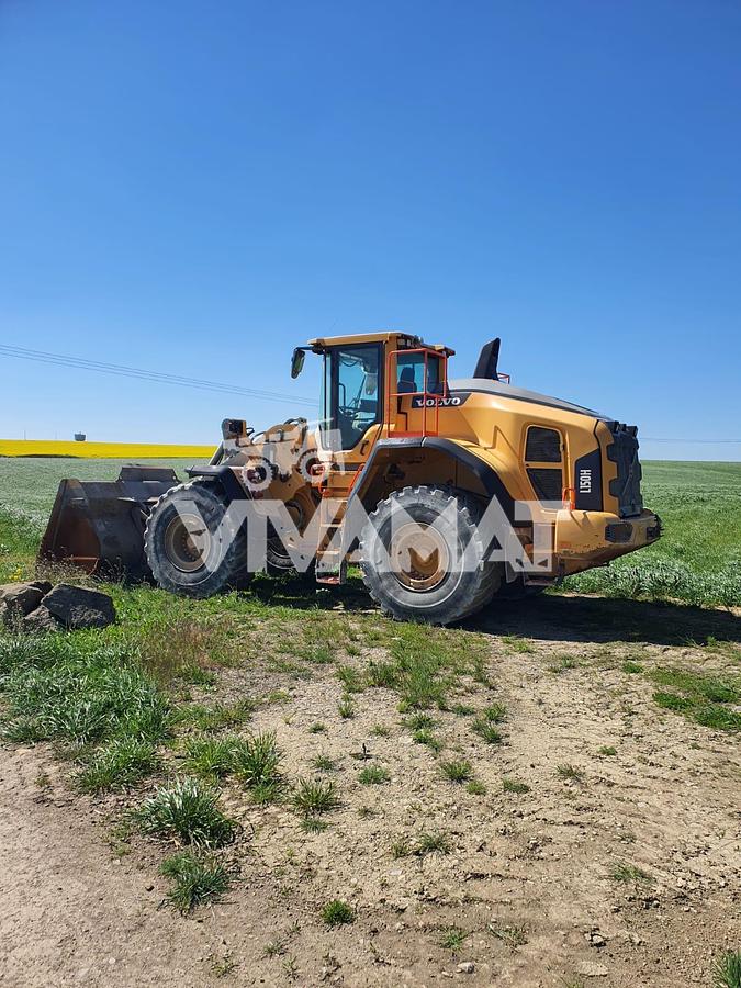 Used Chargeuse sur pneus Volvo L150H 2019