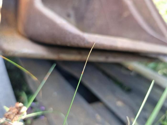 D'occasion godet de tranchée attache Blanchard largeur 570mm