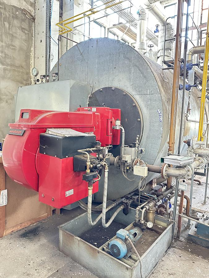 Used Loos Dampfkessel, 13 bar, 10 ton