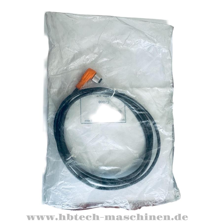 IFM ELECTRONIC EVC004 250V AC 300V DC 4A E10900