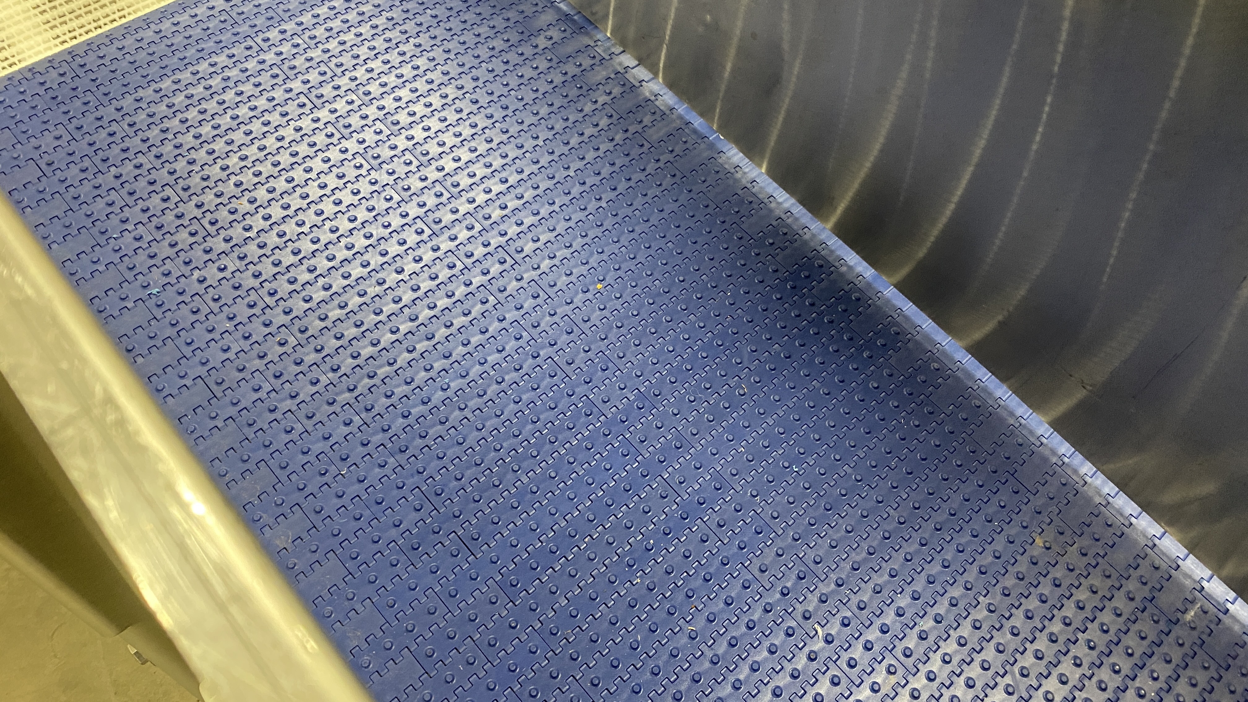 Used Multivac buffer conveyor