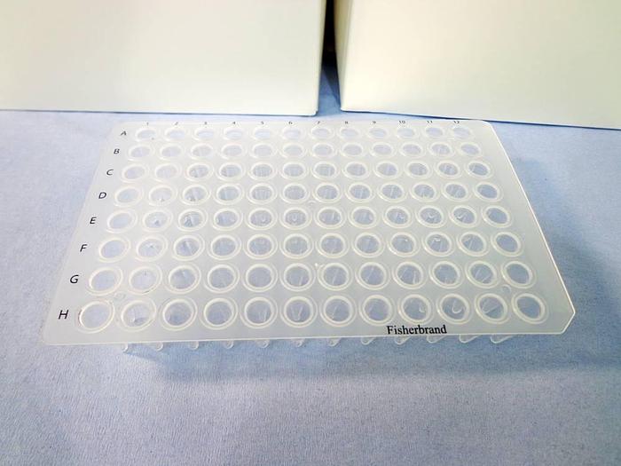 Used Thermo Scientific Polypropylene PCR Plate, 5 Boxes .