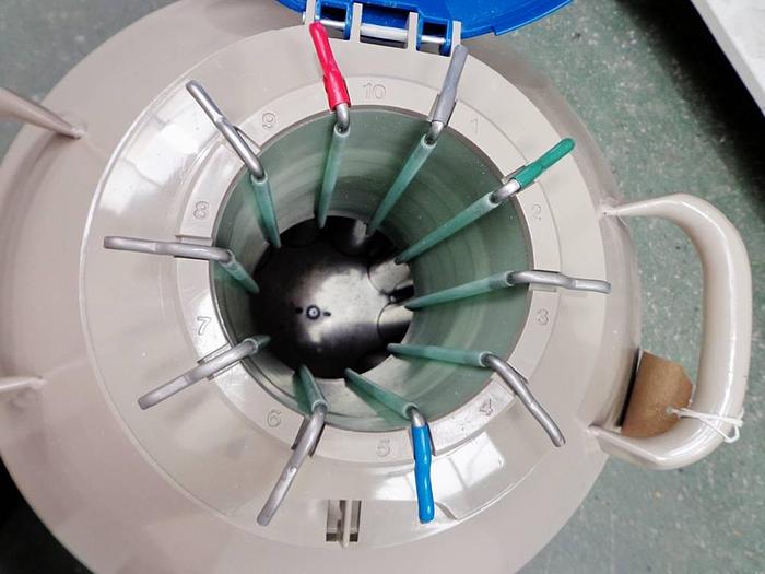 Used Taylor Wharton HC35 High Capacity Liquid Nitrogen Dewar, 10-033-01-0023, on Wheeled Base and with Single Pack Thermo Scientific Storage Canes, 5015-0002