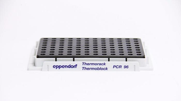 Used Eppendorf PCR 96 Thermorack Thermoblock (2759)