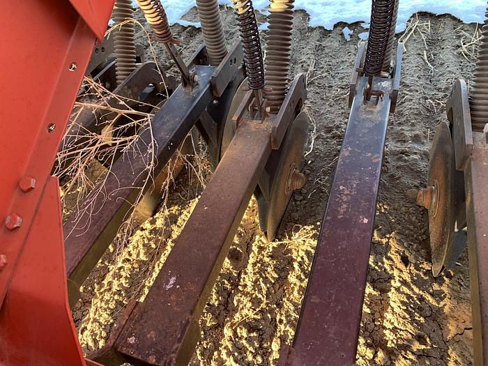 Used Case IH 5300 Grain Drill