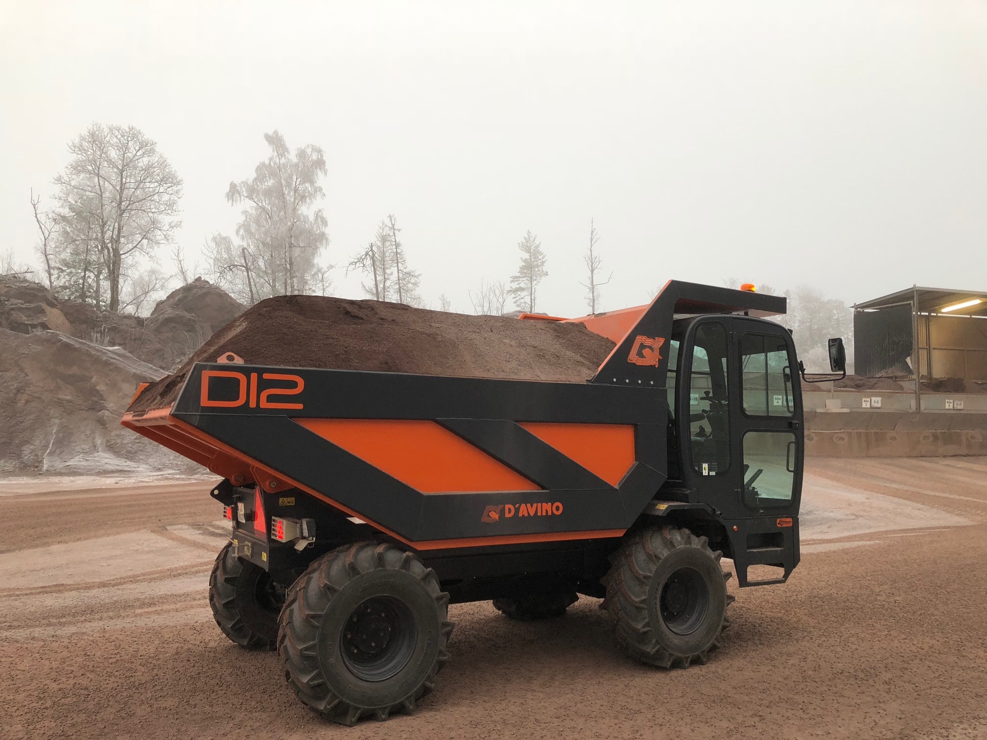 Dumper D12
