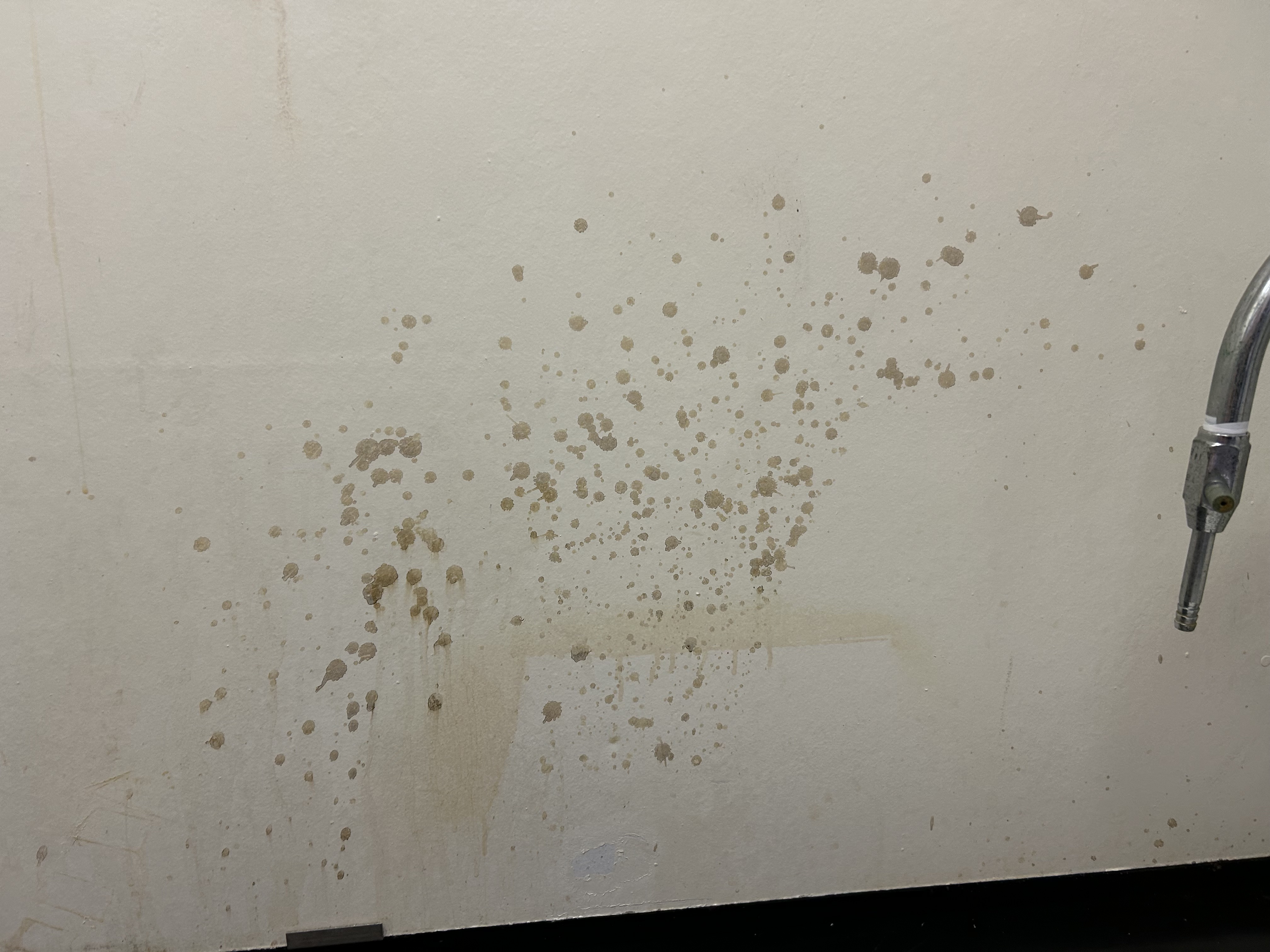 Used CanLab 15IA 4-Ft Fume Hood