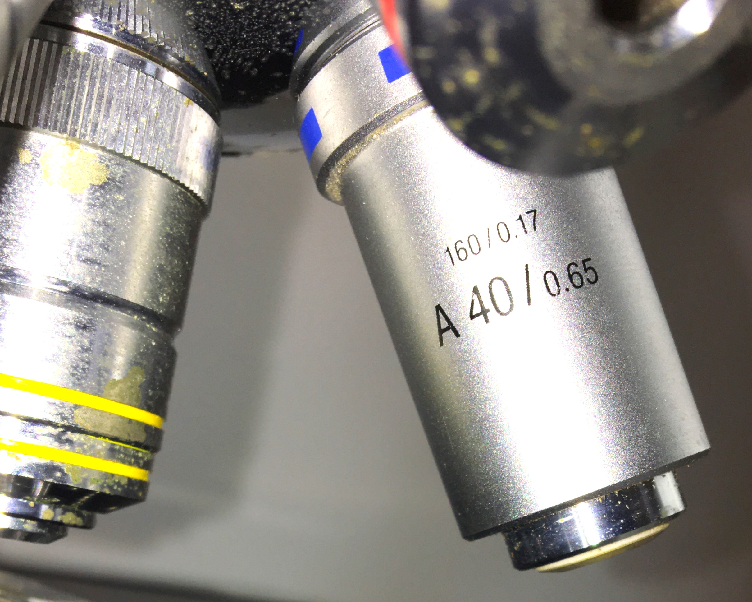 Used Fisher MicroMaster CK Binocular Compound Microscope (100X to 1000X Magnification)