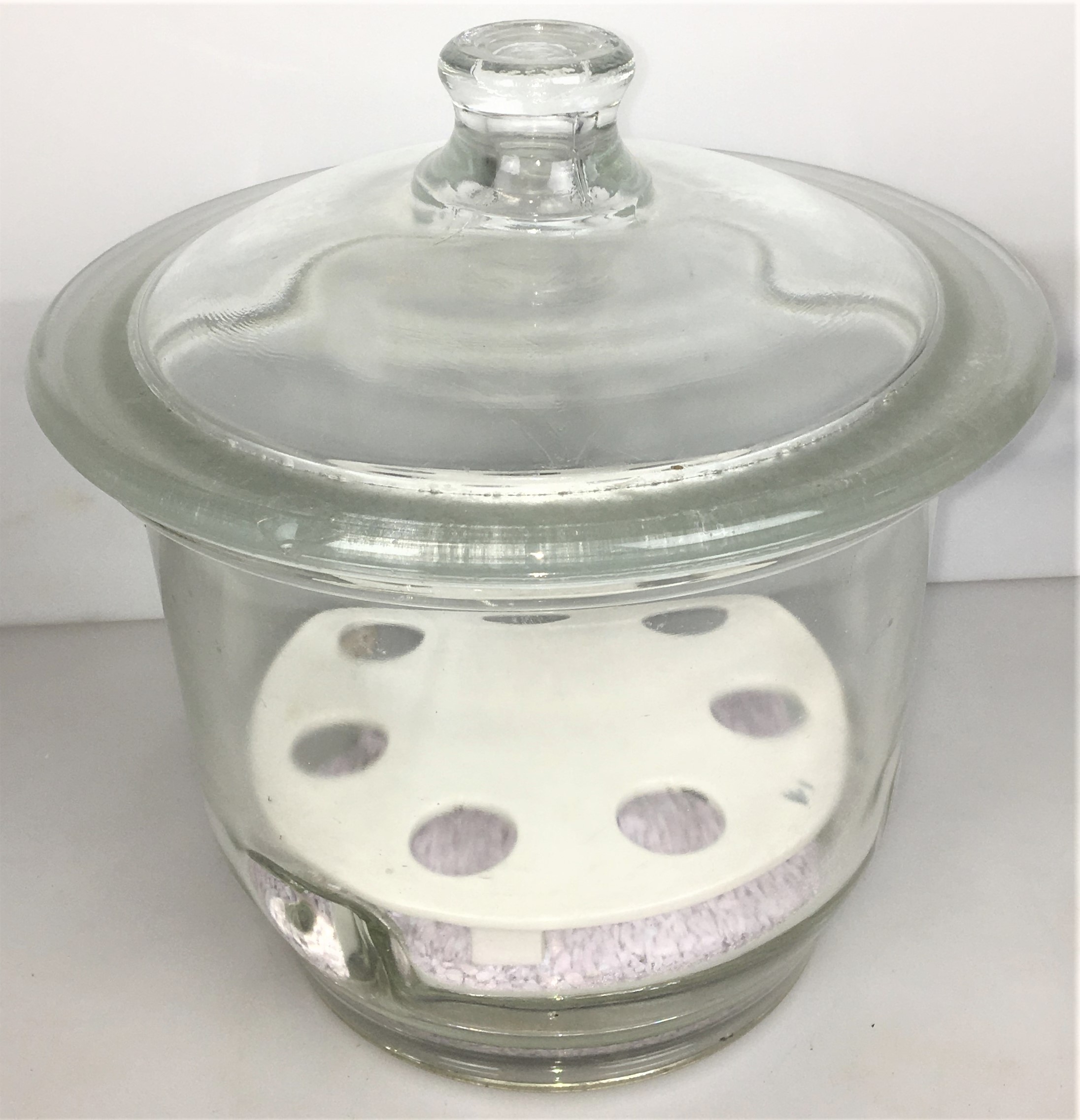 Used Corning PYREX 3081-150 Glass Desiccator with Coors Plate (2.4L)
