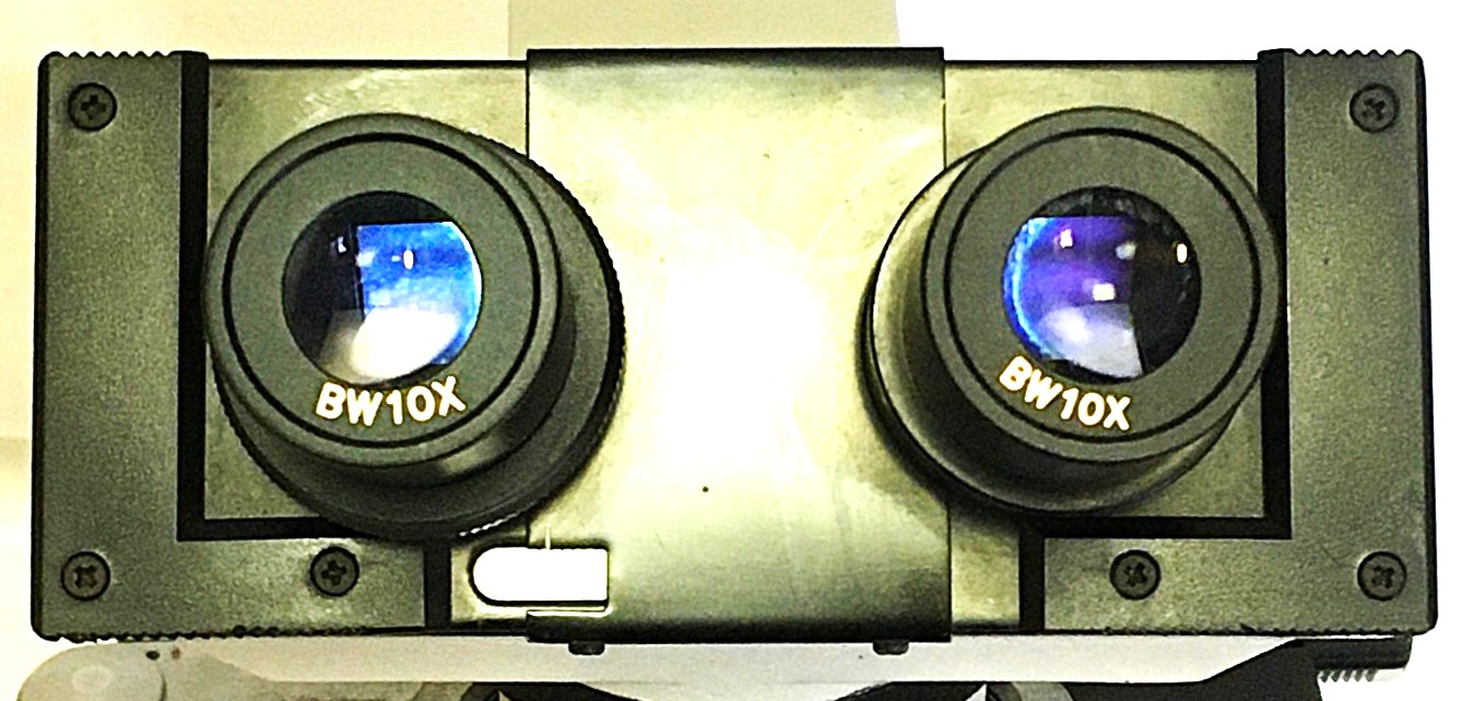 Used Fisher MicroMaster CK Binocular Compound Microscope (100X to 1000X Magnification)