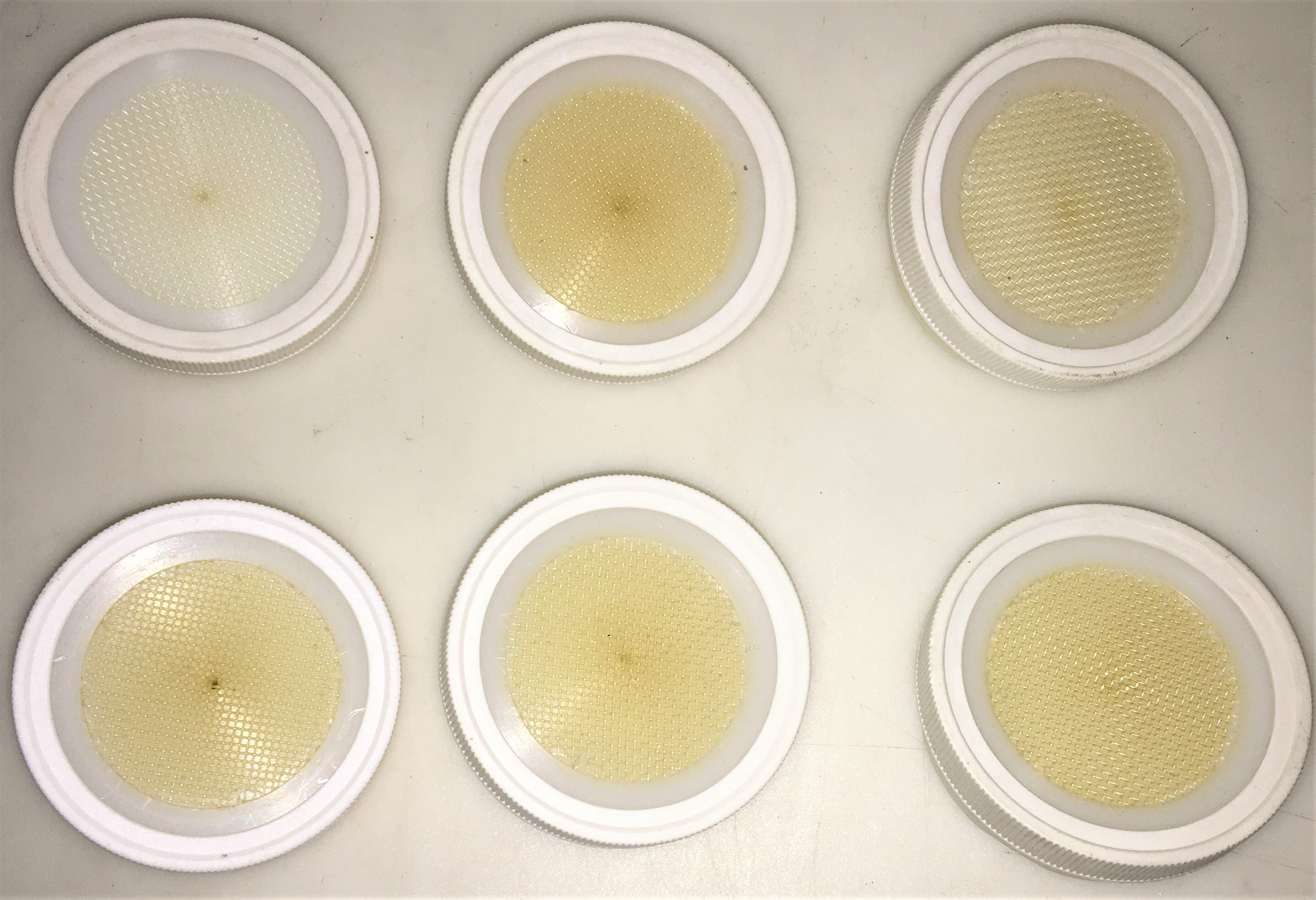 Used Horizon DryVap 5000 In-Line Drying and Concentration System