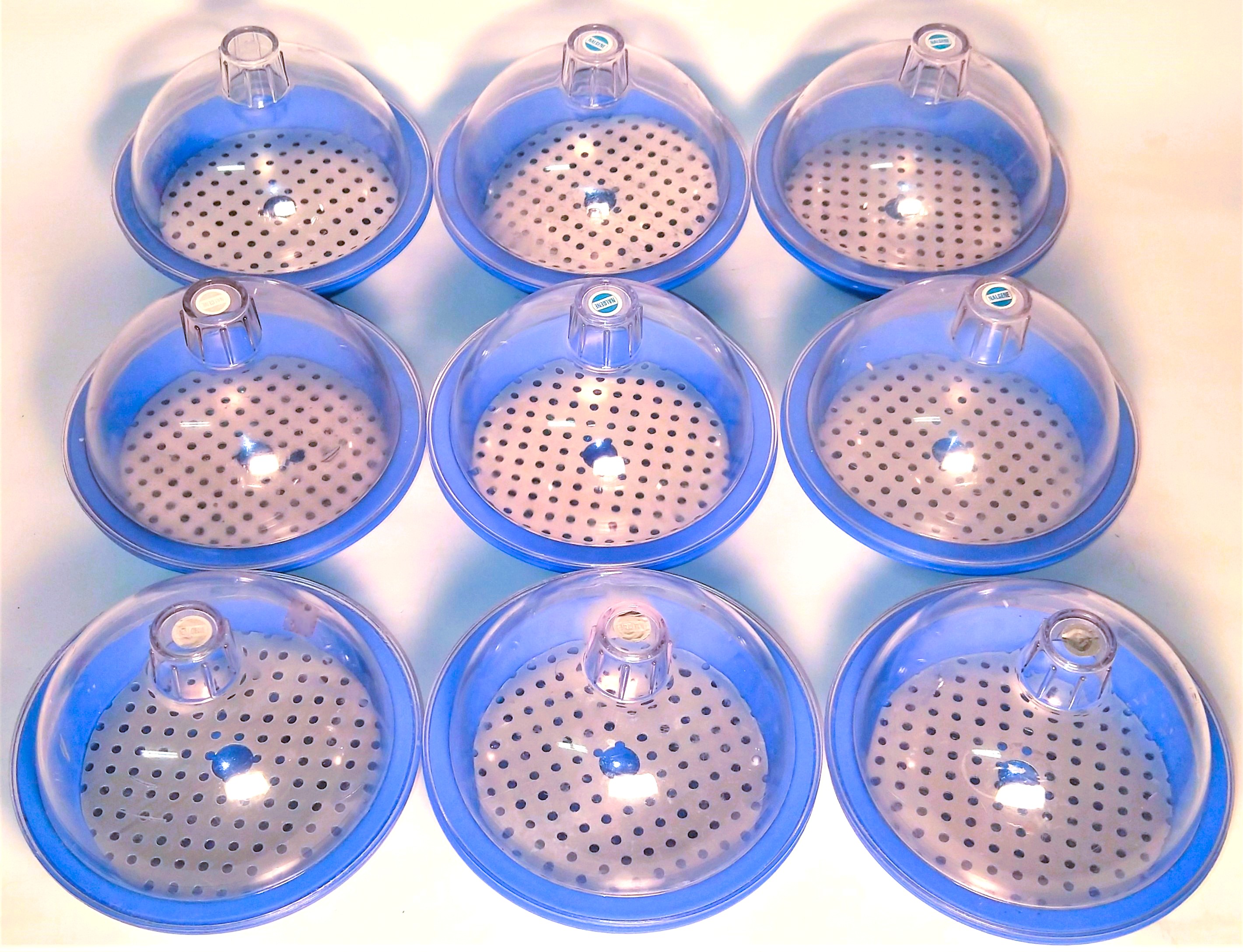 Used Nalgene 5315-0150 Autoclavable Polypropylene Desiccator (150mm ID)