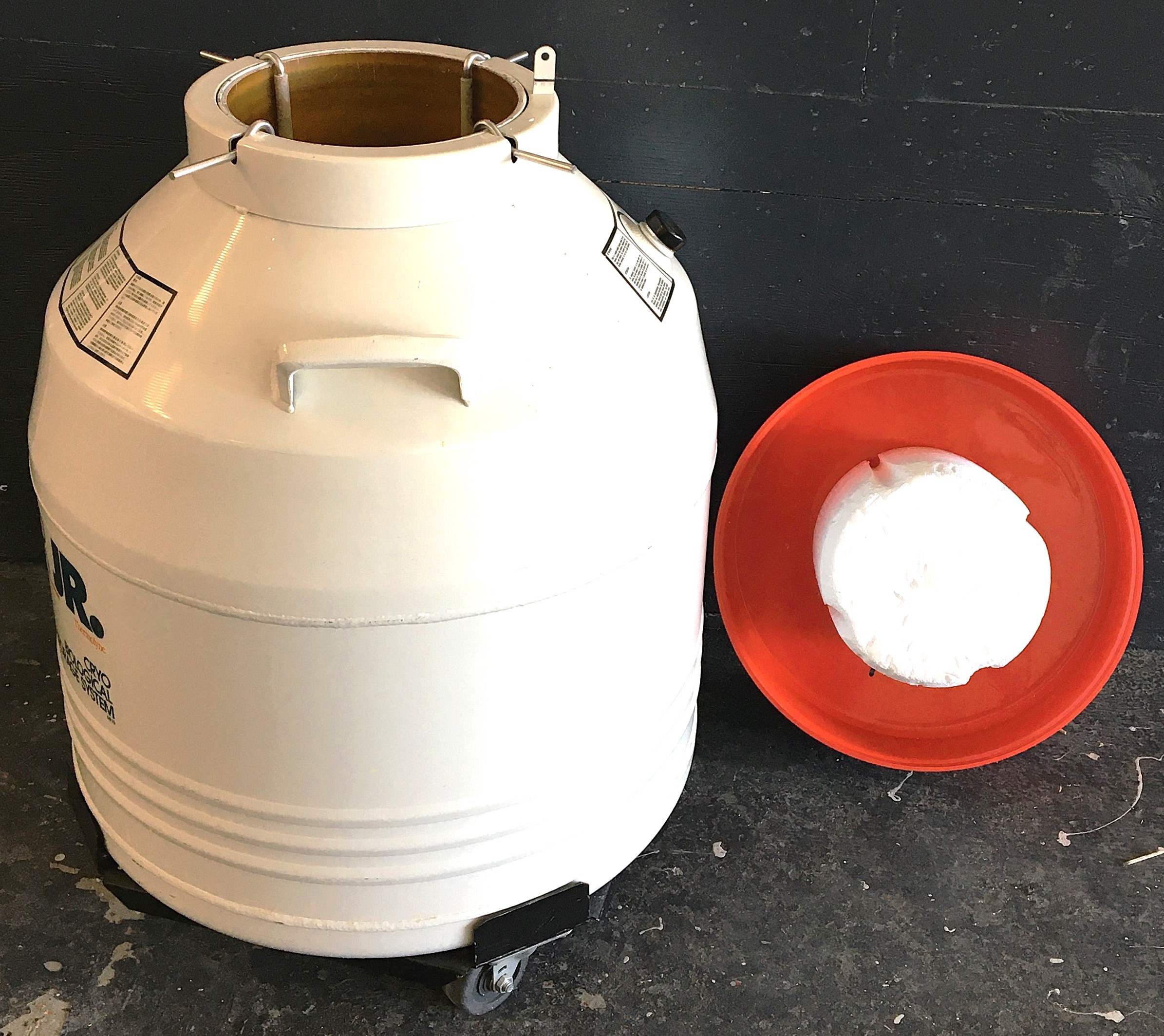 Used Thermolyne Locator Jr Cryogenic Storage System (50L)