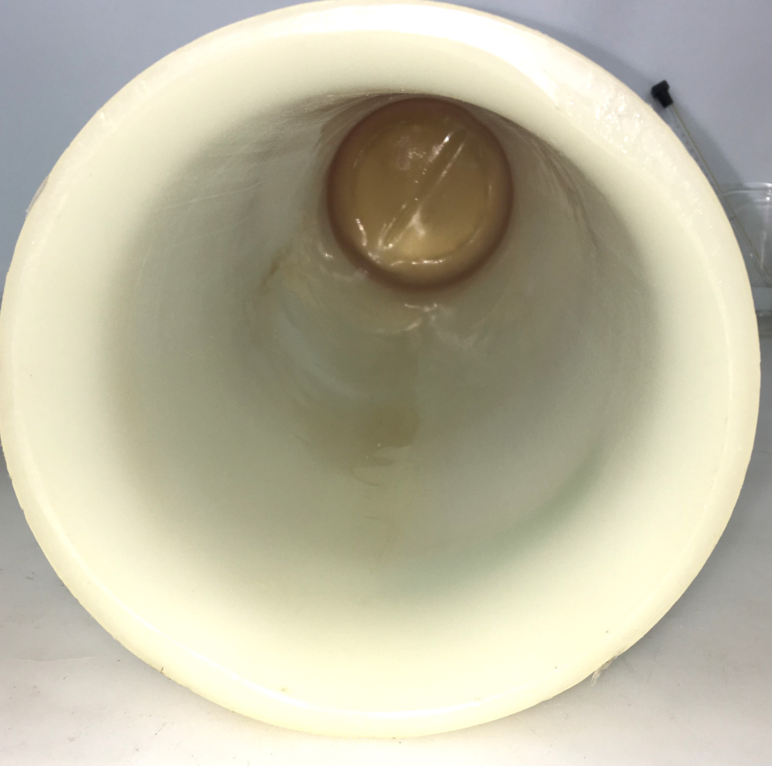 Used Nalgene 5242-0050 Pipet Cleaning Jar