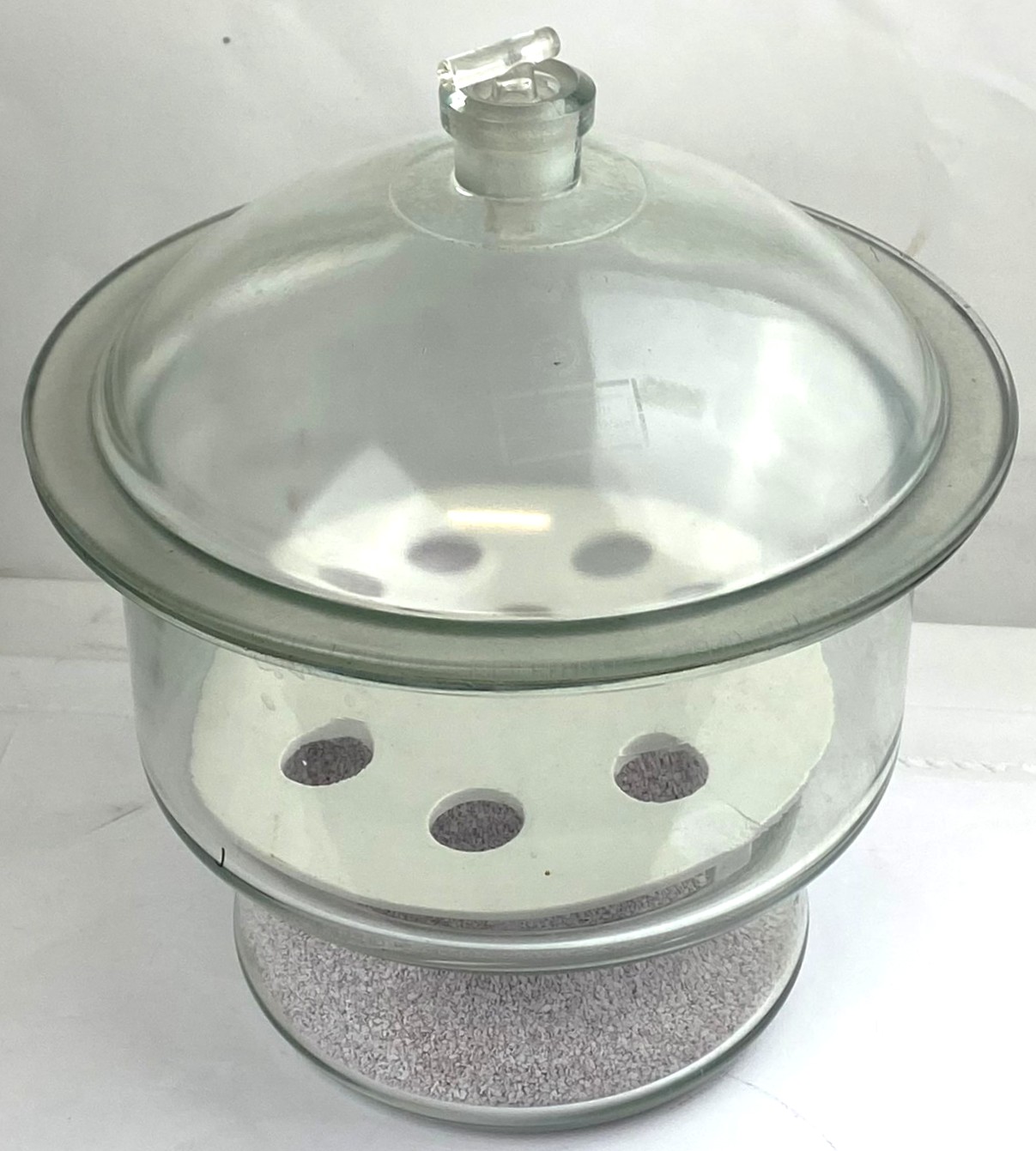 Used Glasswerk Wertheim Glass Vacuum Desiccator with Support Plate (10.5L)