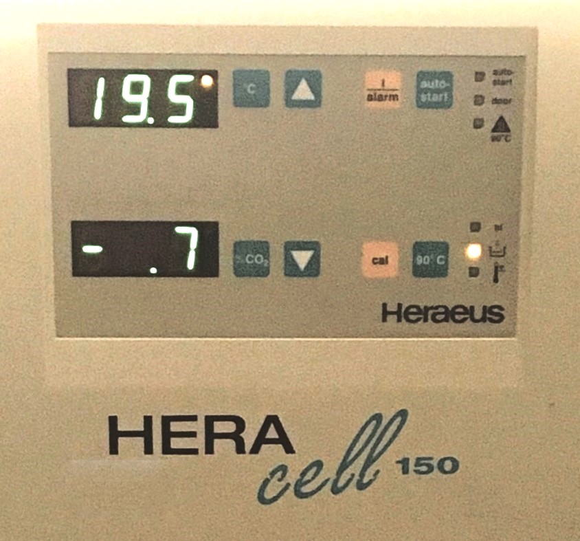 Used Heraeus HERAcell 150 CO2 Incubator (5.3 Cu-Ft)