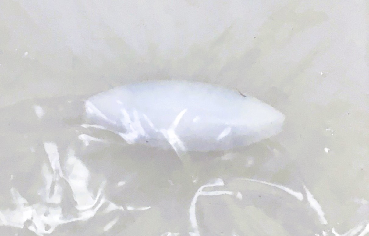 New Open Box JRCL-DT 2000mL Stirring Heating Mantle