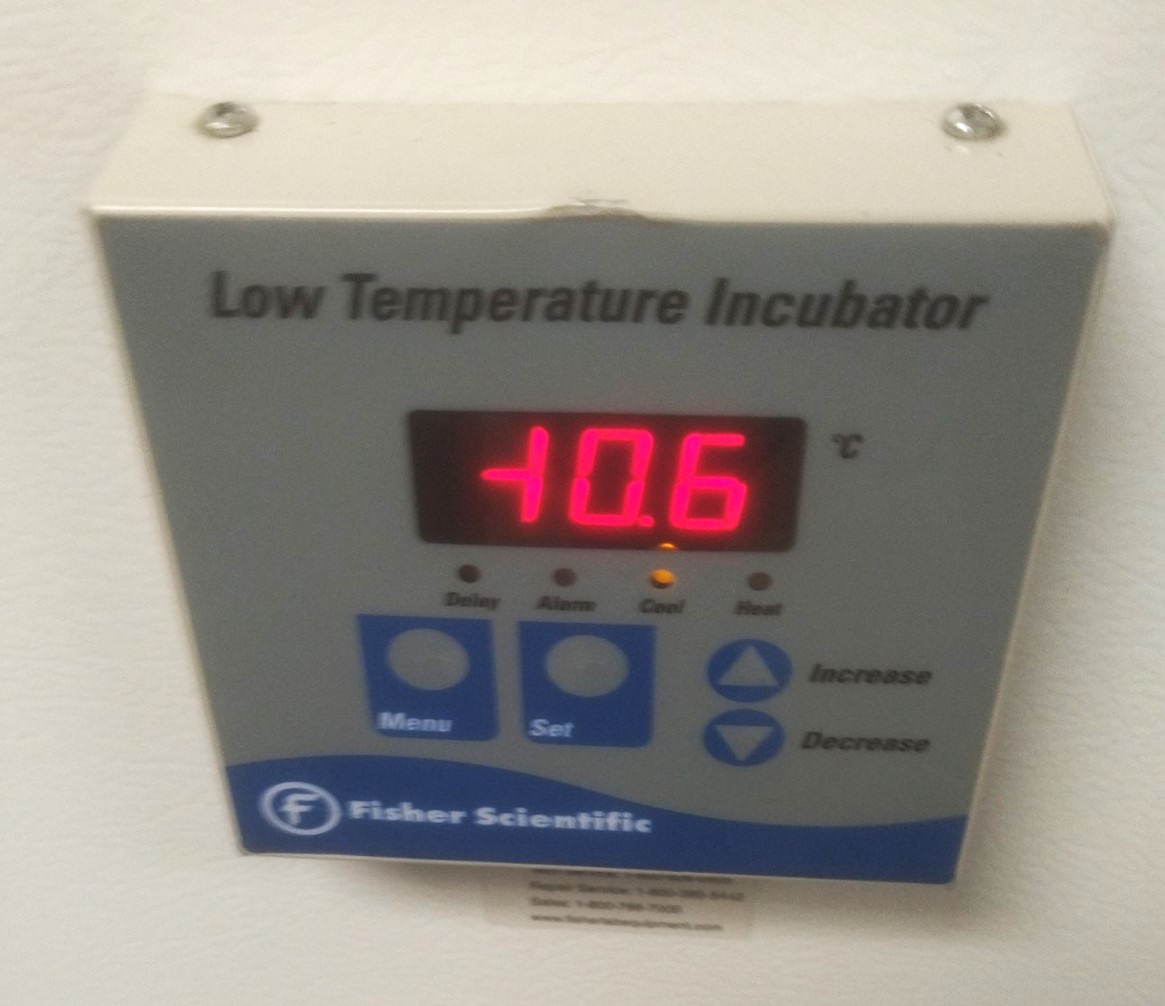 Used Fisher Isotemp 3724 Refrigerated BOD Incubator (6.1 Cu-Ft)