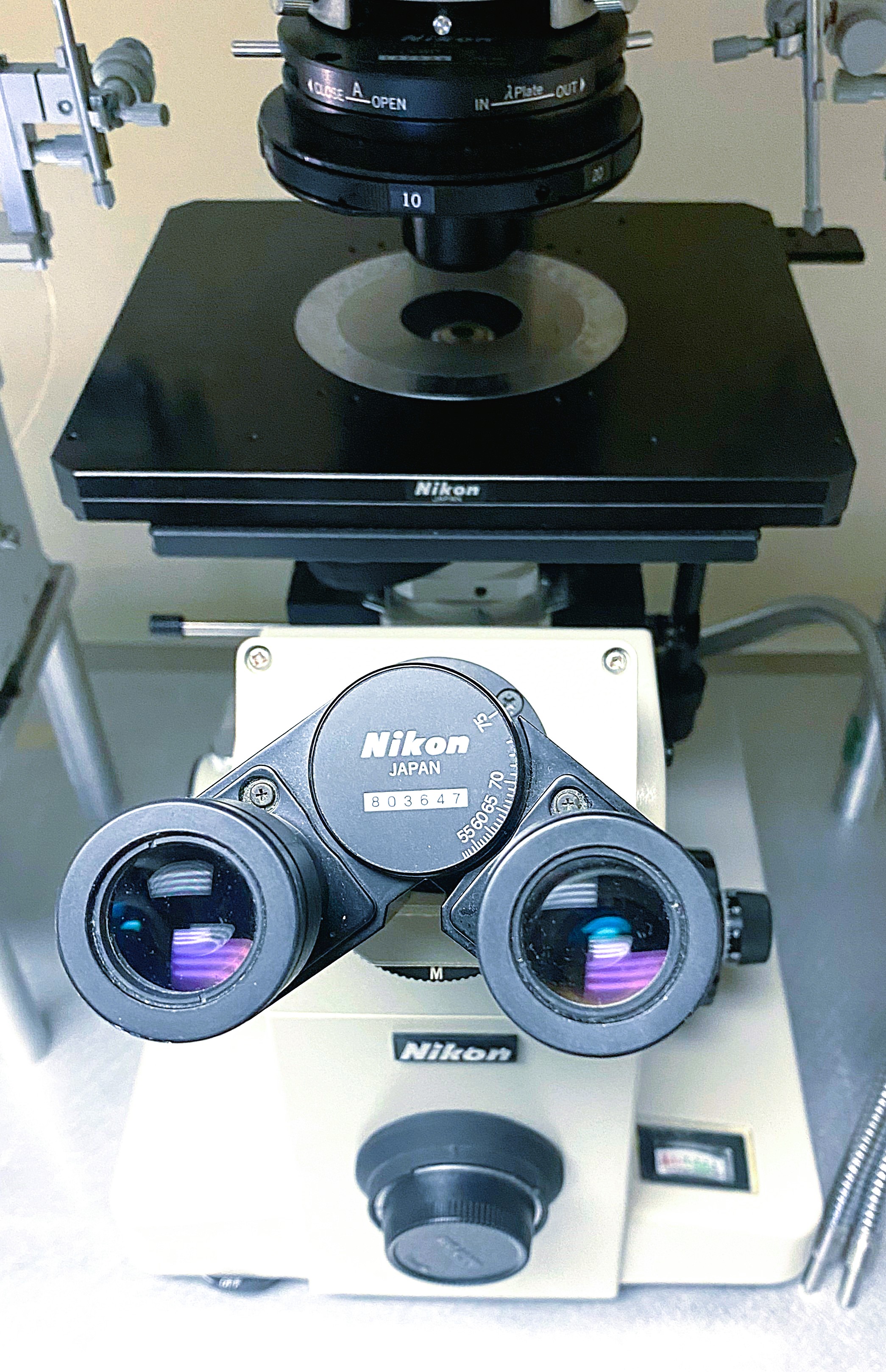 Used Nikon Diaphot TMD Inverted, Phase-Contrast Microscope with Micromanipulators (40X to 400X)