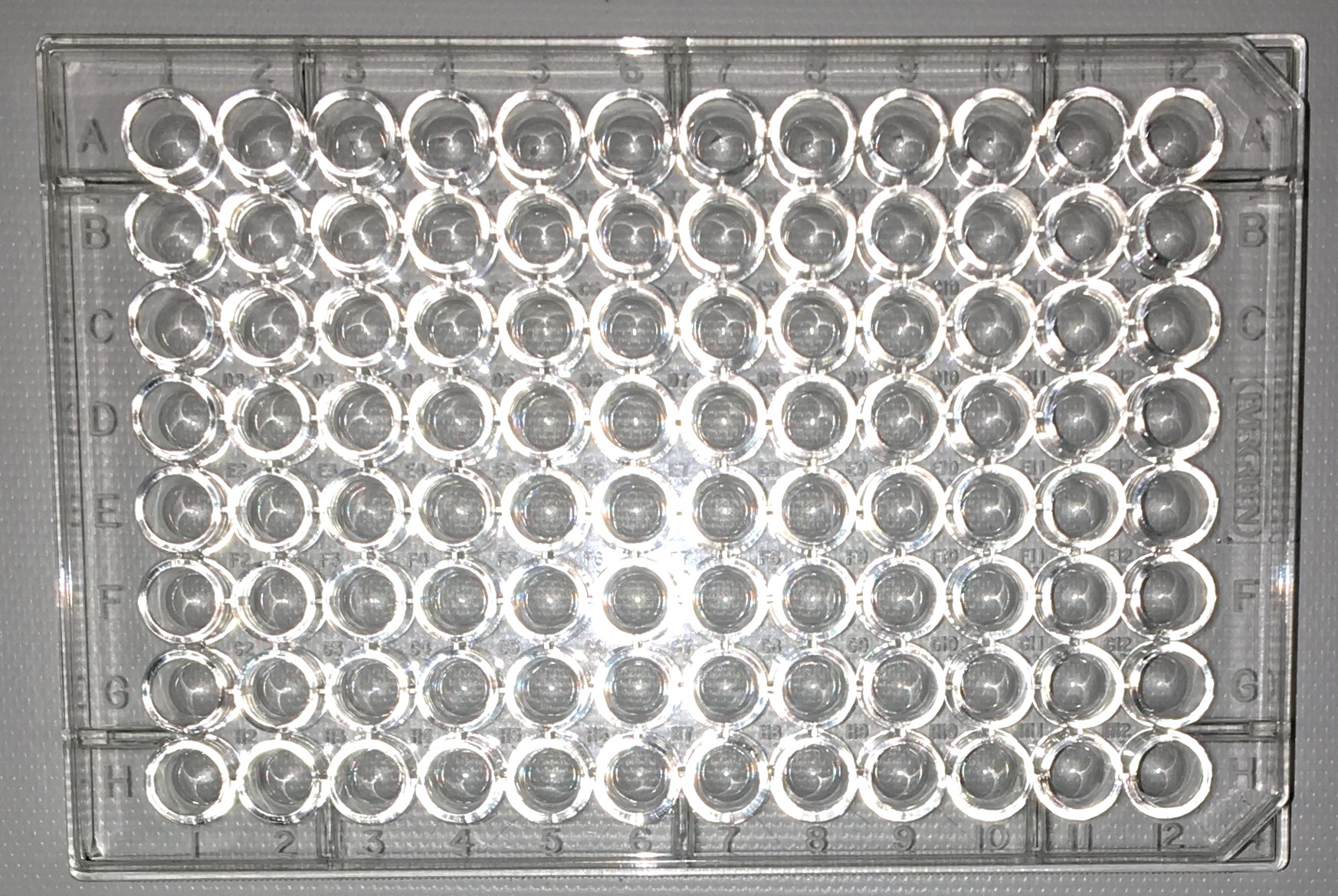 New Open Box Caplugs Evergreen 290-8117-01R Clear Microplate Trays (Lot of 190)