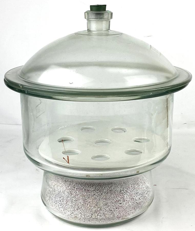 Used Glasswerk Wertheim Glass Desiccator with Support Plate
