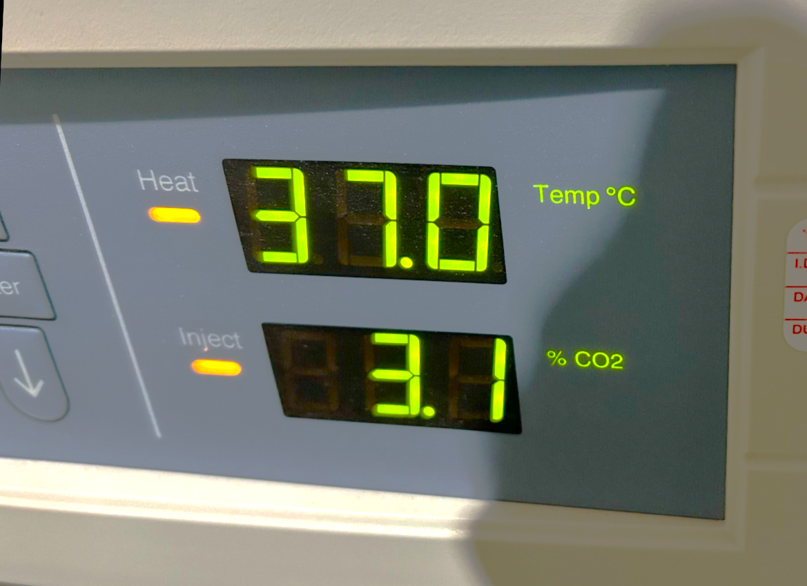 Used Thermo Forma Series II 3110 Water-Jacketed CO2 Incubator (6.5 Cu-Ft)