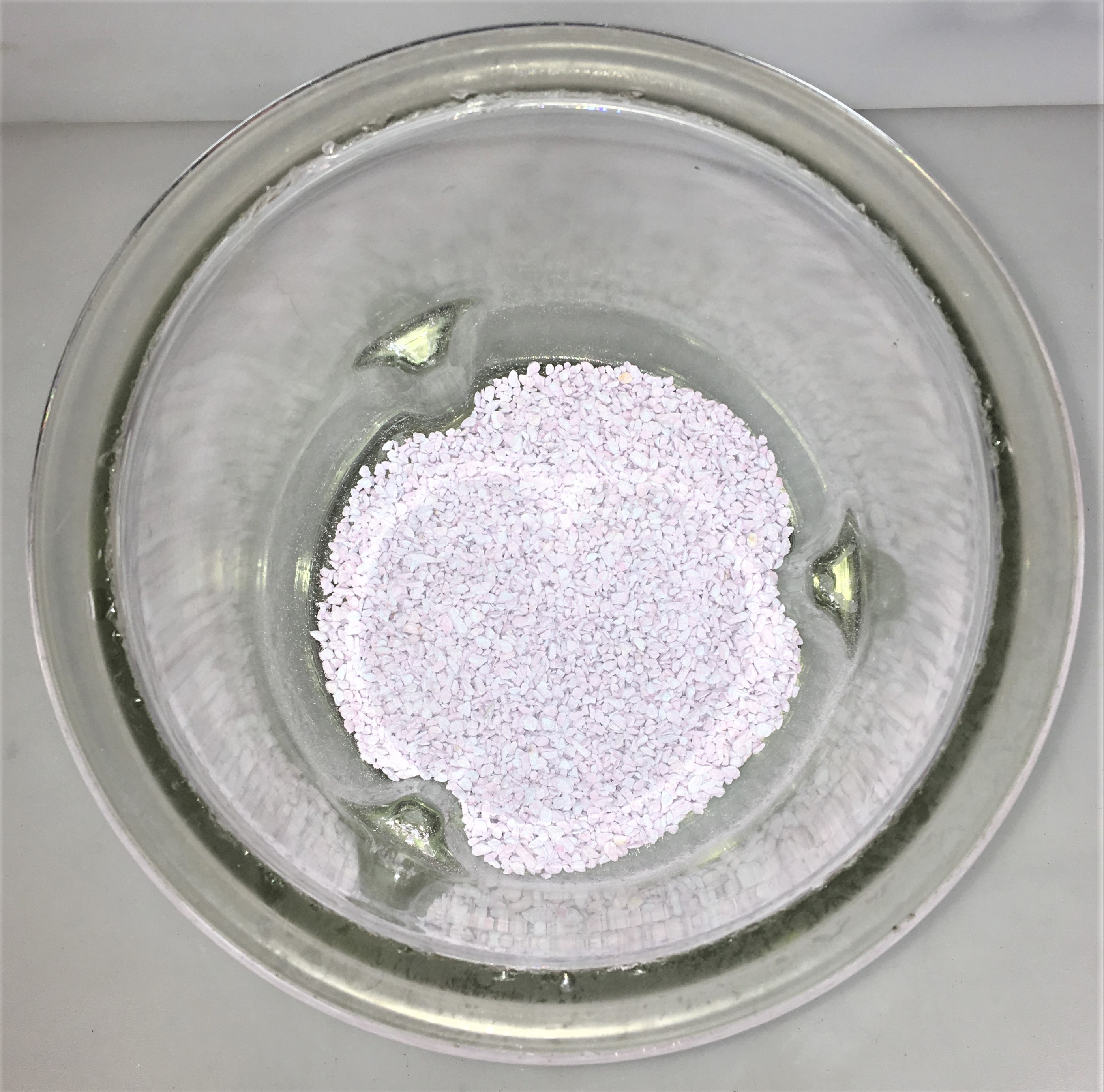 Used Corning PYREX 210mm ID Glass Desiccator with Coors Plate