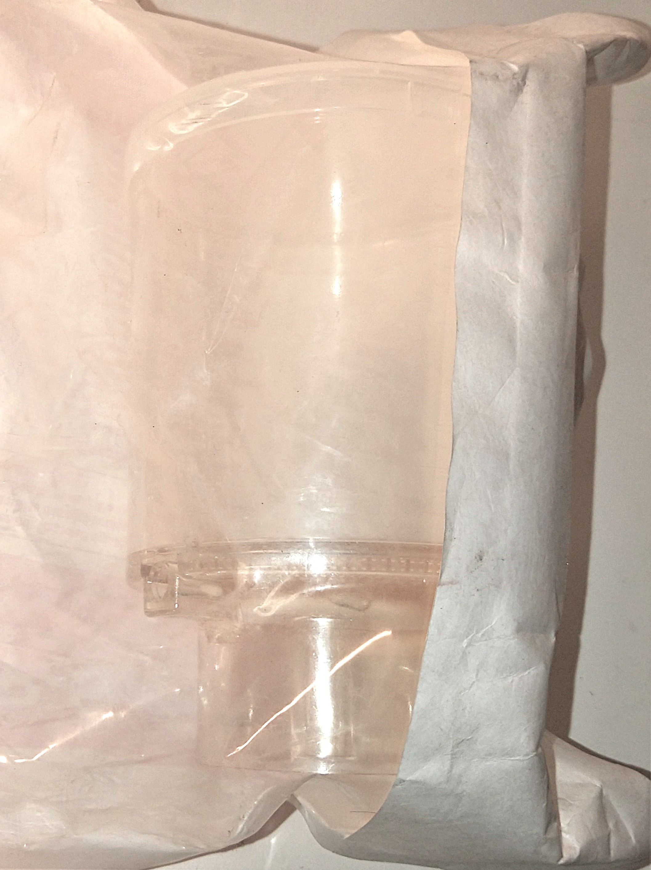 New GVS ZapCap-S Sterile Bottle-Top Filter (0.2µm) - 2/Pack