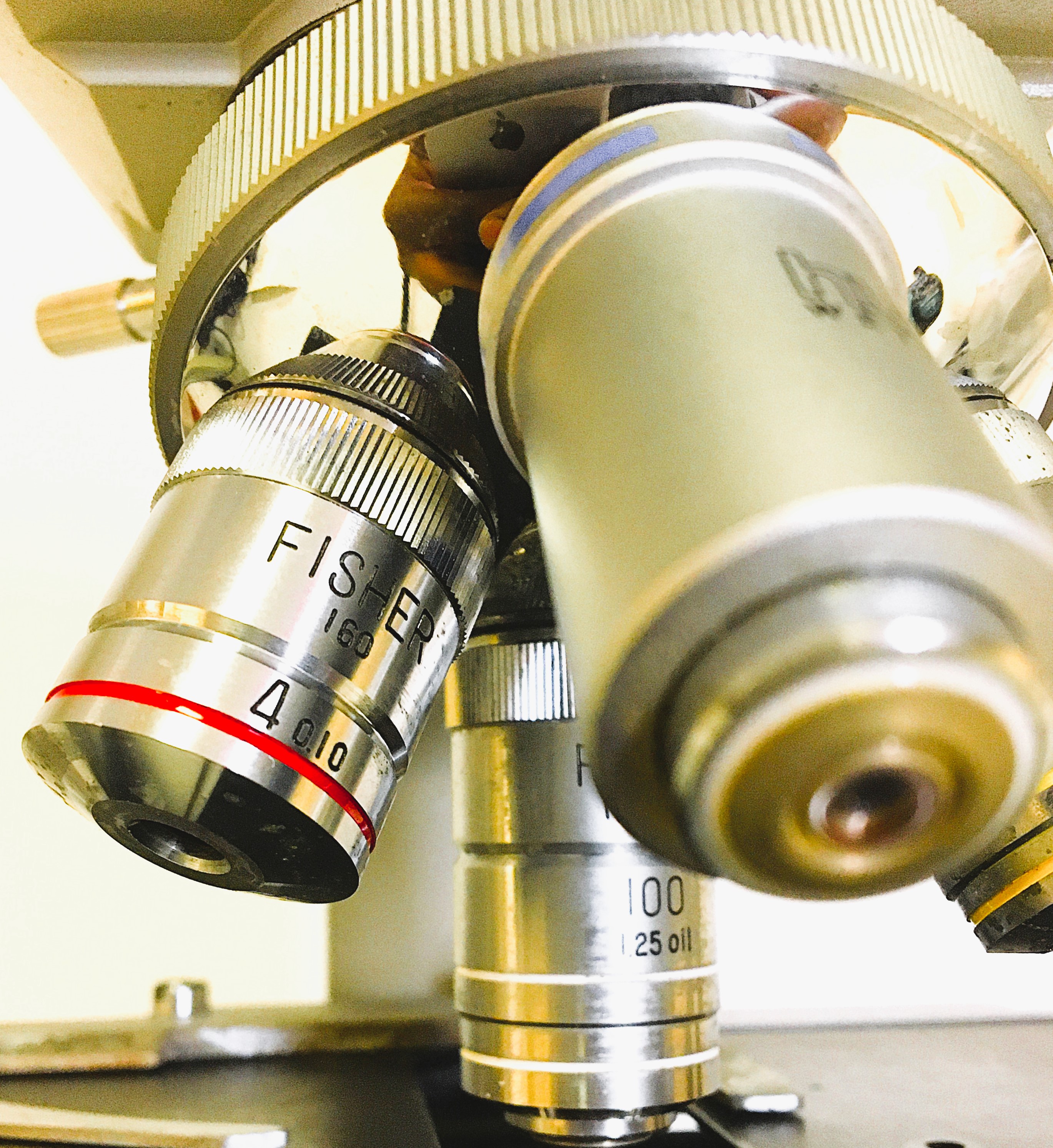 Used Fisher MicroMaster CK Binocular Compound Microscope (100X to 1000X Magnification)