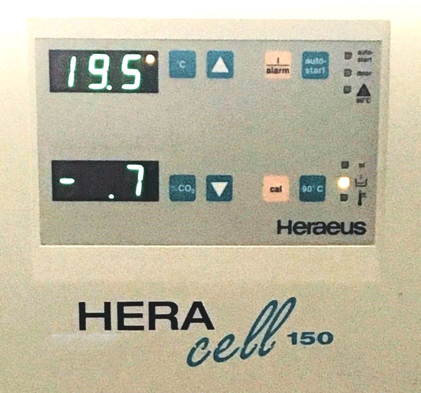 Used Heraeus HERAcell 150 CO2 Incubator (5.3 Cu-Ft)