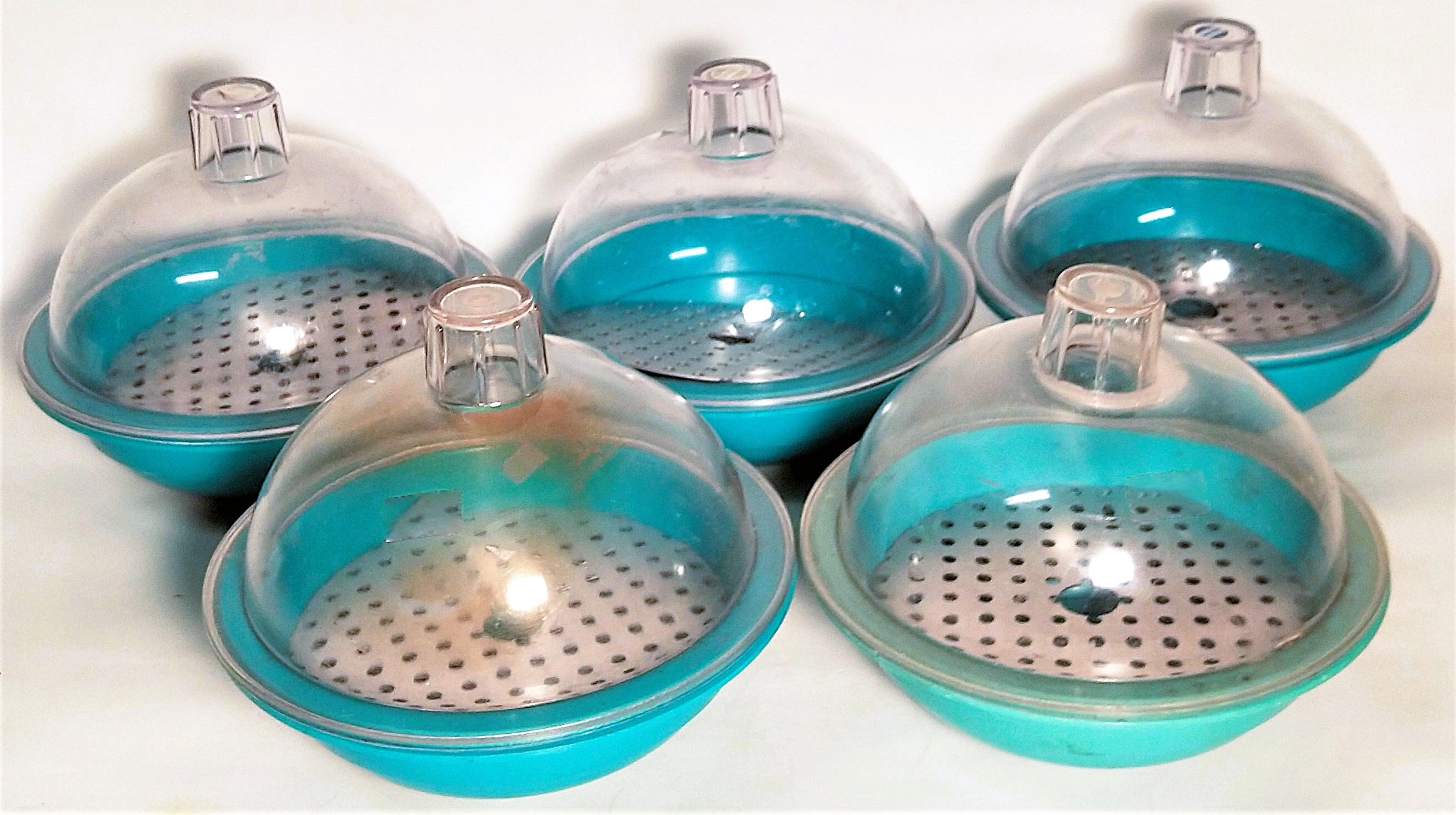 Used Nalgene 5315-0150 Autoclavable Polypropylene Desiccator (150mm ID)