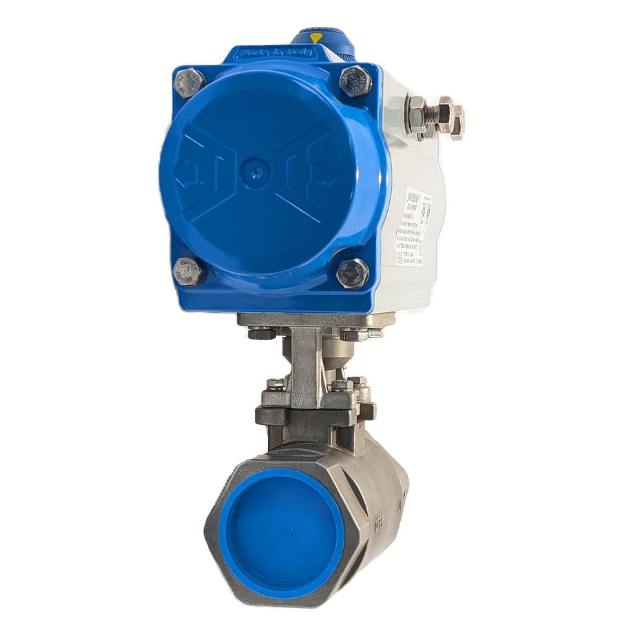 Used Jamesbury VPVL300SR4/5BD