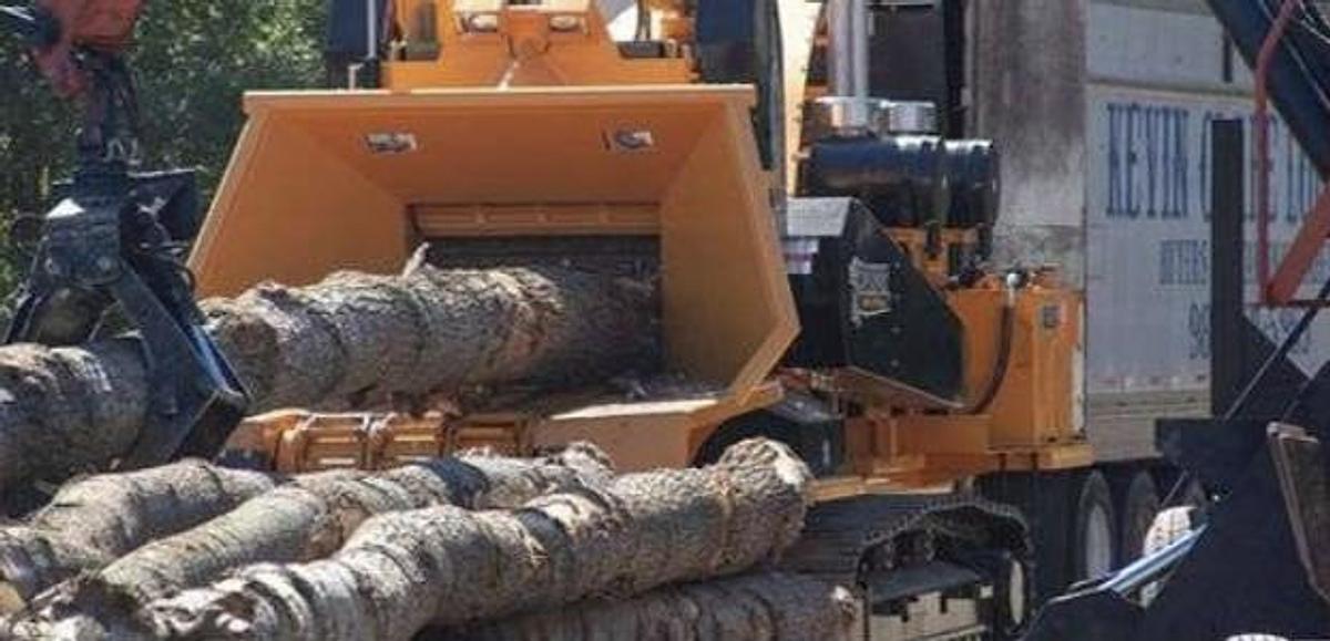 Bandit 3590 Whole Tree Chipper