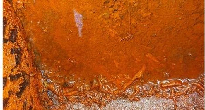 Used 2009 Bandit 2590 Whole Tree Chipper