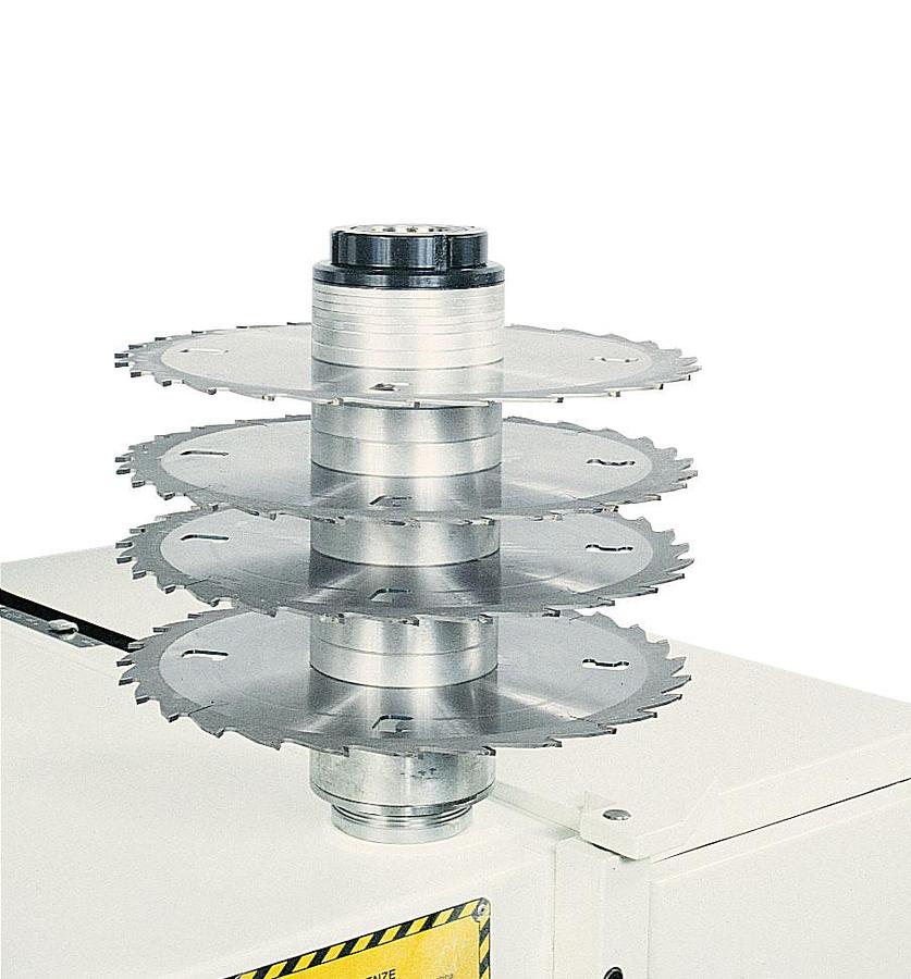 SCM Group SCM M3 Gang Rip Saw Machine