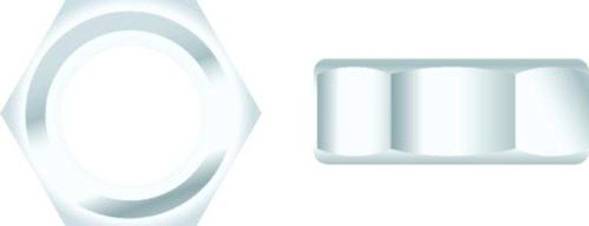 Stainless Steel Chrome Plated Hex Nut - 1/4-20