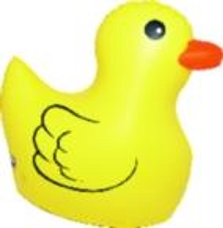 Yard Sprinkler - Ducky