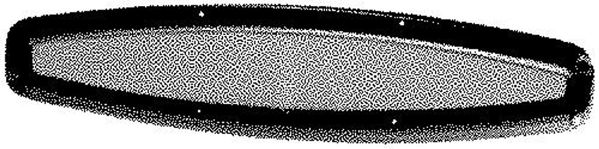 Newport Oval Flex-Port - Smoked Lens - Black Trim Ring