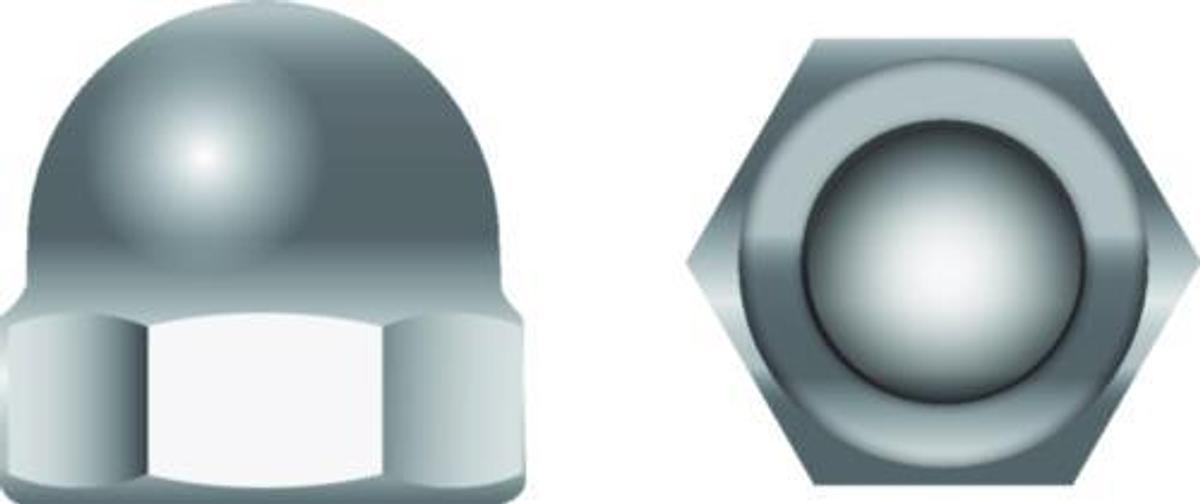 1/4-20 Cap Acor Nut Ss 100/Bg