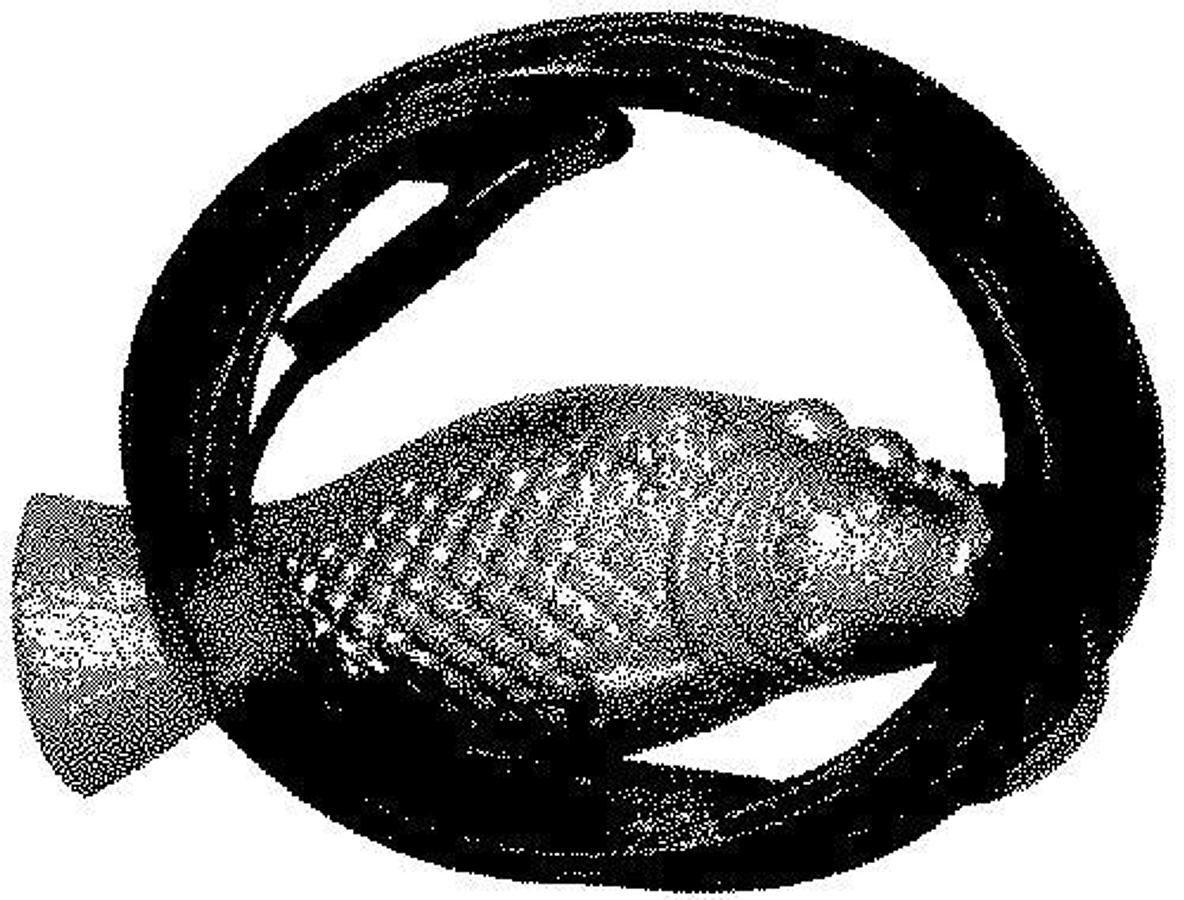 Grouper Zinc Anode with 20ft. Galvanized Wire Rope