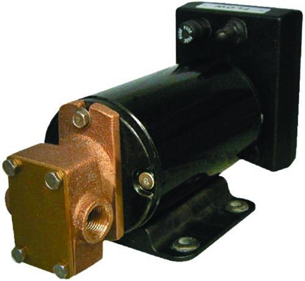 Self-Priming Gear Pump - Reversing - 1-3/4 to 3 GPM - Up To 55 PSI - 3/8in. NPT Ports - 12V.