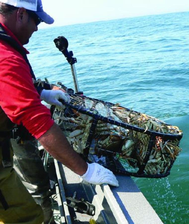 Electric Trap-Pot Puller - 100lbs.