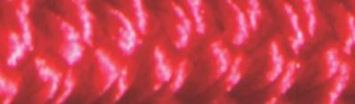 Premium Double Braided Nylon Dock Line - 1/2in. x 25ft. - Red