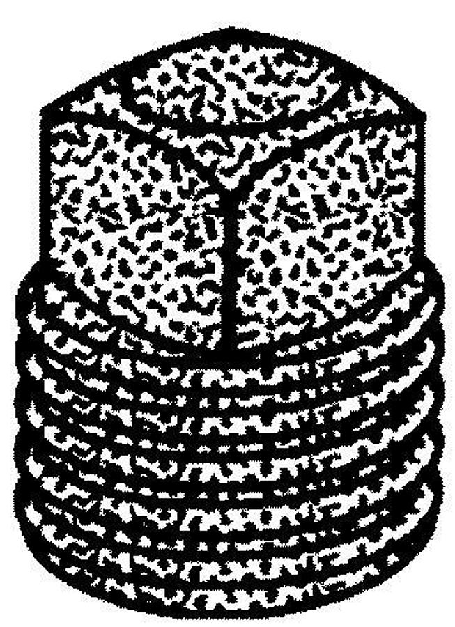 Solid Square Head Plug - 3/8in.