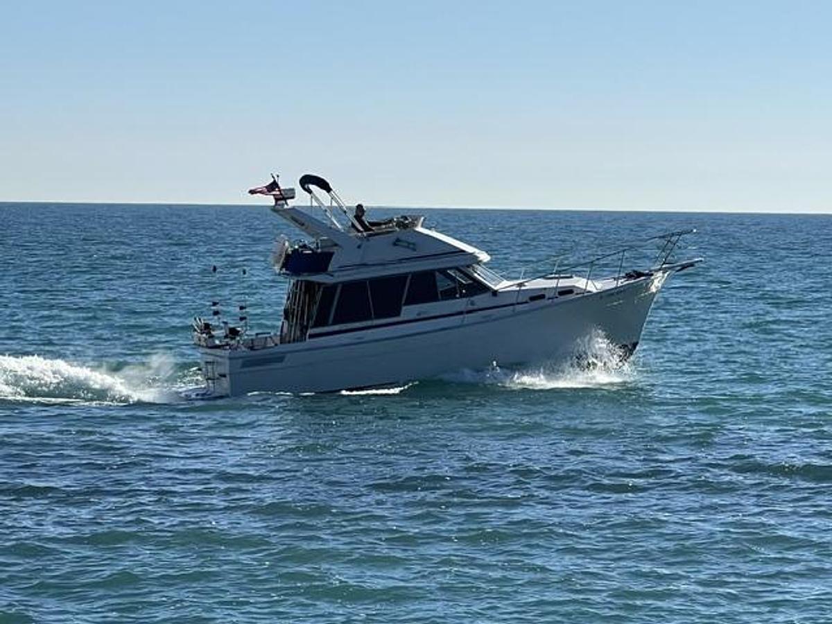 Used 1986 Bayliner 3270