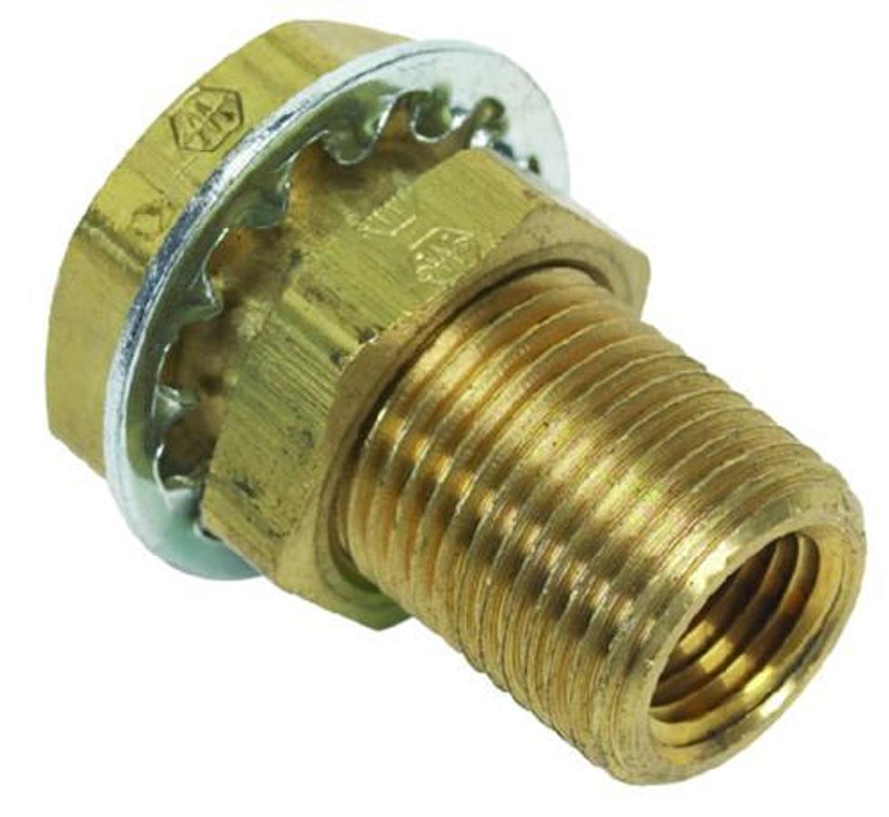 Brass Male Bulkhead Fitting - 1/4in. FNPT