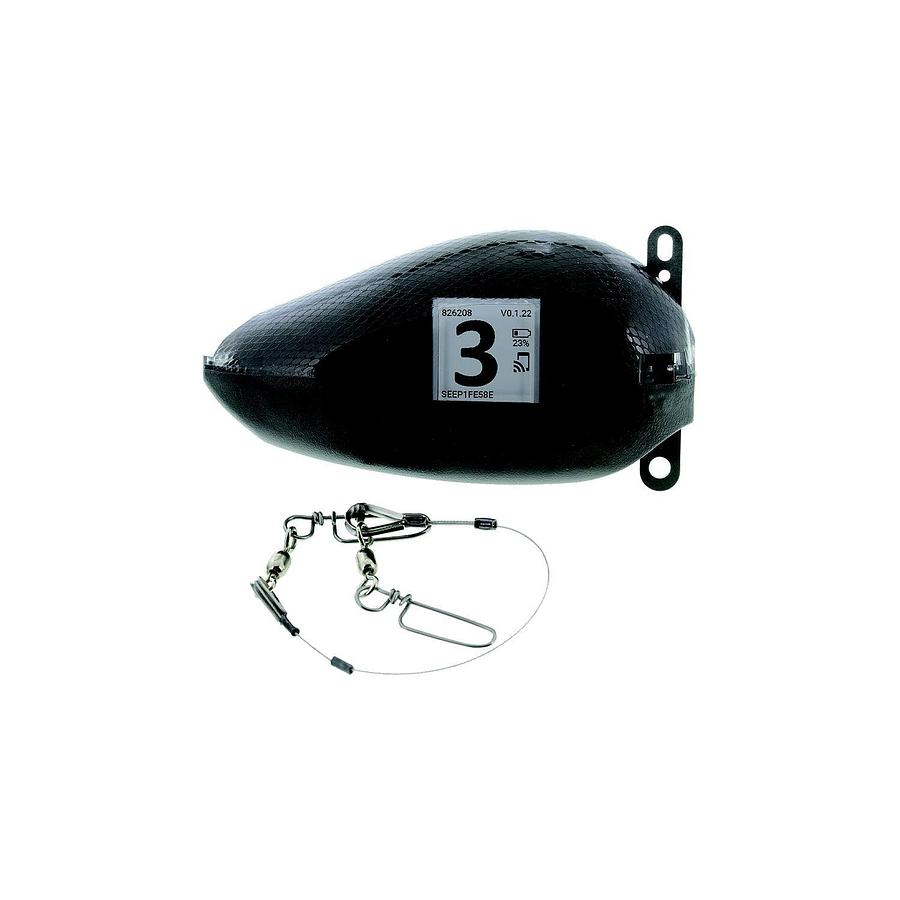 Seeker Probe and Leader