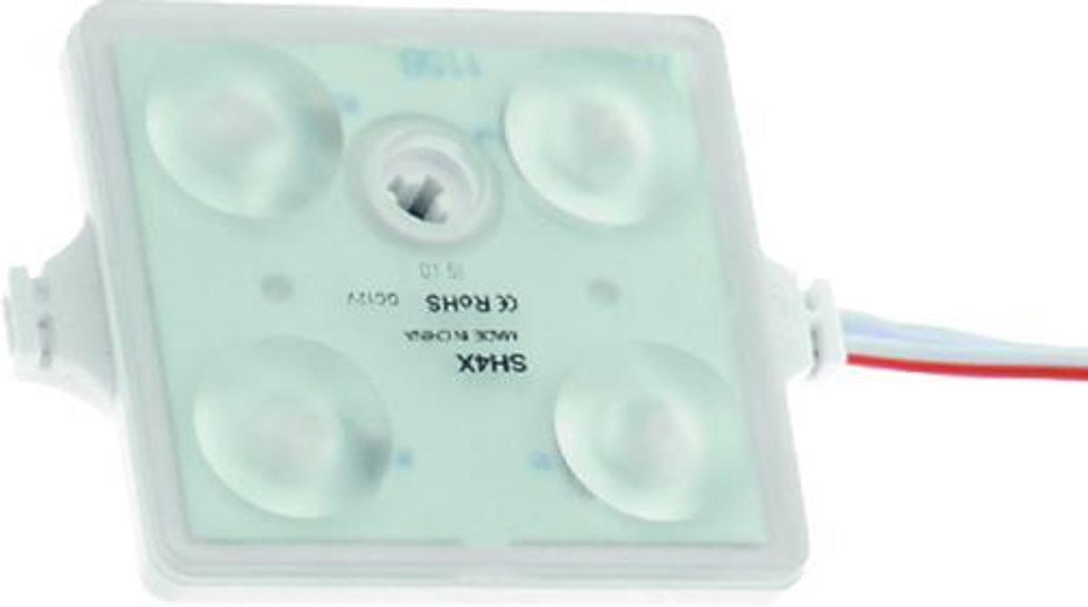 LED Module Courtesy Light - 4 LEDs - White